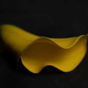 Calla Yellow