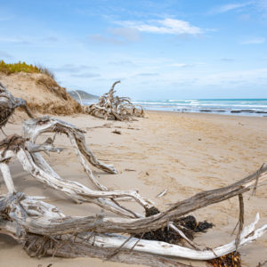 Australia Day Lorne