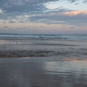 Seascape 5