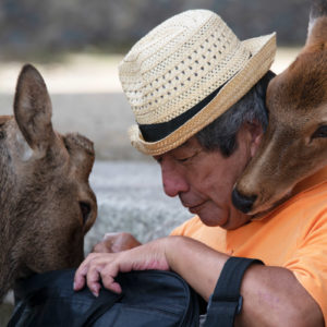 Nara Man With Deer